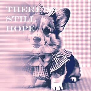 { R[M[  NbVJo[ 45×45cm Aj}   NbV{̕t ` t@