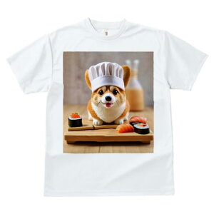 TVc fB[X t@  t  vg JWA 킢 lԗp tBbglX _X i R[M[ VFt̖Xq ݖ ؐgC