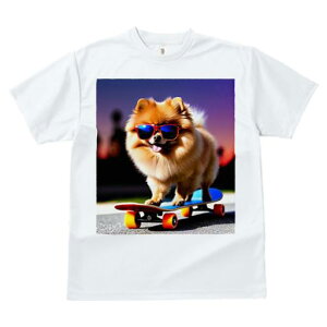 TVc fB[X t@  t  vg JWA 킢 lԗp tBbglX _X XP[g{[h |jA TOX