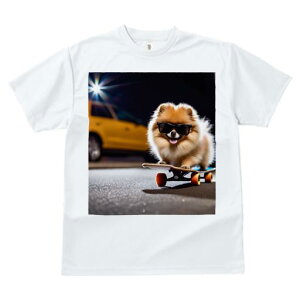 TVc fB[X t@  t  vg JWA 킢 lԗp tBbglX _X XP[g{[h |jA 