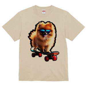 TVc Y LbY t@  t  vg JWA 킢 lԗp tBbglX _X XP[g{[h |jA TOX