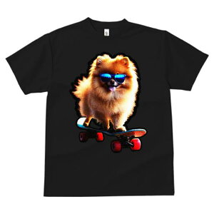 TVc fB[X t@  t  vg JWA 킢 lԗp tBbglX _X XP[g{[h |jA TOX