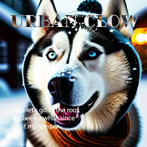 ~ VxAnXL[  Xq XJ[t NbVJo[ 45×45cm Aj}   NbV{̕t ` t@