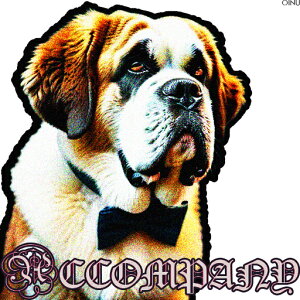 lN^C Zgo[i[h NbVJo[ 45×45cm Aj}   NbV{̕t ` t@