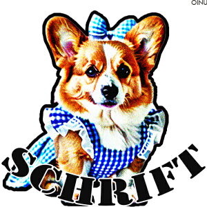 MK`FbN R[M[ { NbVJo[ 45×45cm Aj}   NbV{̕t ` t@