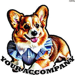  R[M[ `FbN NbVJo[ 45×45cm Aj}   NbV{̕t ` t@