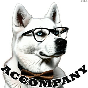 Kl VxAnXL[ lN^C NbVJo[ 45×45cm Aj}   NbV{̕t ` t@