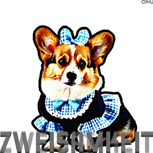 Ch R[M[ { NbVJo[ 45×45cm Aj}   NbV{̕t ` t@