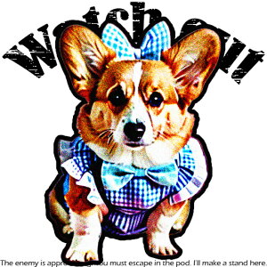 { R[M[  NbVJo[ 45×45cm Aj}   NbV{̕t ` t@