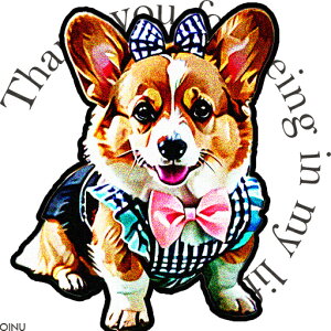 { R[M[  NbVJo[ 45×45cm Aj}   NbV{̕t ` t@