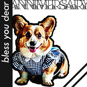  R[M[ `FbN NbVJo[ 45×45cm Aj}   NbV{̕t ` t@