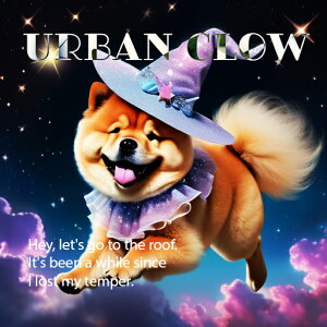 Xq Hc  _ NbVJo[ 45×45cm Aj}   NbV{̕t ` t@