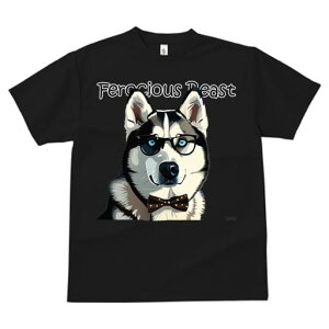 TVc fB[X t@  t  vg JWA 킢 lԗp tBbglX _X Kl VxAnXL[ lN^C