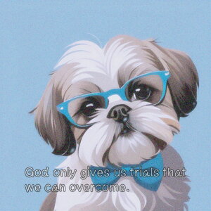 Kl V[Y[ lN^C NbVJo[ 45×45cm Aj}   NbV{̕t ` t@