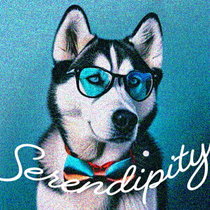 Kl VxAnXL[ lN^C NbVJo[ 45×45cm Aj}   NbV{̕t ` t@