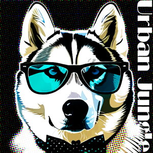 Kl VxAnXL[ lN^C NbVJo[ 45×45cm Aj}   NbV{̕t ` t@