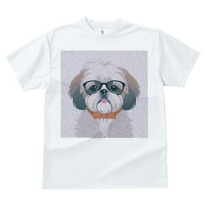 TVc fB[X t@  t  vg JWA 킢 lԗp tBbglX _X Kl V[Y[ lN^C