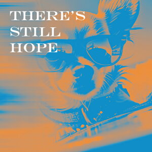 Kl ` NbVJo[ 45×45cm Aj}   NbV{̕t ` t@