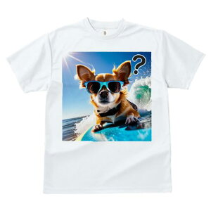 TVc fB[X t@  t  vg JWA 킢 lԗp tBbglX _X TOX ` T[tB C g