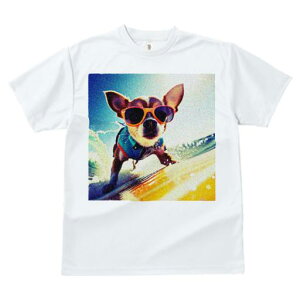 TVc fB[X t@  t  vg JWA 킢 lԗp tBbglX _X TOX ` T[tB C