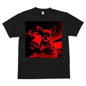 TVc Y LbY t@  t  vg JWA 킢 lԗp tBbglX _X T[tB ` g TOX