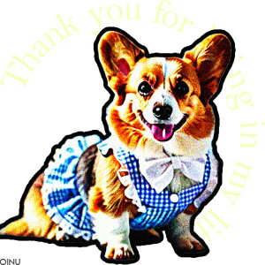  R[M[ `FbN NbVJo[ 45×45cm Aj}   NbV{̕t ` t@