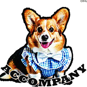  R[M[ NbVJo[ 45×45cm Aj}   NbV{̕t ` t@