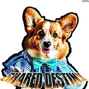 lN^C R[M[  NbVJo[ 45×45cm Aj}   NbV{̕t ` t@