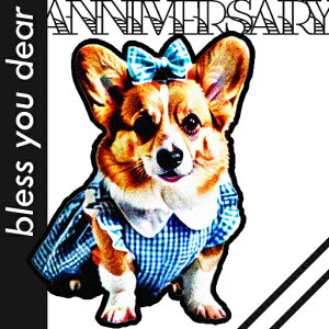  R[M[ { NbVJo[ 45×45cm Aj}   NbV{̕t ` t@