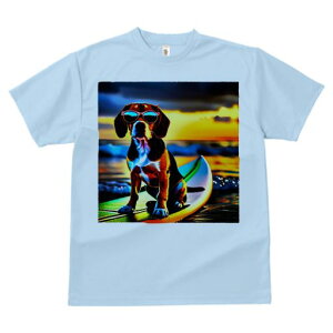 TVc Y LbY t@  t  vg JWA 킢 lԗp tBbglX _X T[tB r[O C [Ă TOX