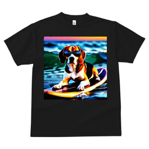 TVc fB[X t@  t  vg JWA 킢 lԗp tBbglX _X TOX r[O T[t{[h C