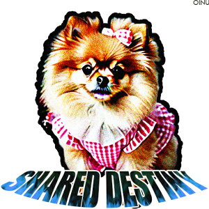 ���� �|�����j�A�� ���{�� �N�b�V�����J�o�[ 45×45cm �A�j�}���� ������� ���� �N�b�V�����{�̕t�� �����` ���t�@��