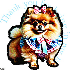 { |jA  NbVJo[ 45×45cm Aj}   NbV{̕t ` t@