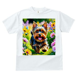 TVc Y LbY t@  t  vg JWA 킢 lԗp tBbglX _X  [NV[eA 