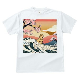 TVc fB[X t@  t  vg JWA 킢 lԗp tBbglX _X g S[fgo[  i {