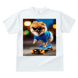 TVc fB[X t@  t  vg JWA 킢 lԗp tBbglX _X XP[g{[h |jA TOX 