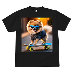 TVc fB[X t@  t  vg JWA 킢 lԗp tBbglX _X XP[g{[h |jA TOX 