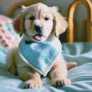 悾ꂩ S[fgo[ NbVJo[ 45×45cm Aj}   NbV{̕t ` t@