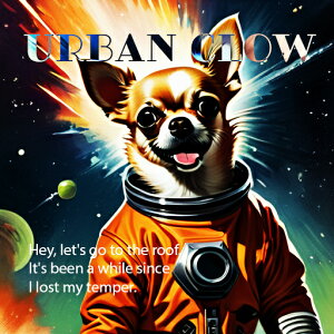 F ` Xy[XVg F NbVJo[ 45×45cm Aj}   NbV{̕t ` t@