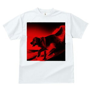 TVc fB[X t@  t  vg JWA 킢 lԗp tBbglX _X T[tB S[fgo[