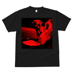 TVc fB[X t@  t  vg JWA 킢 lԗp tBbglX _X T[tB S[fgo[ g