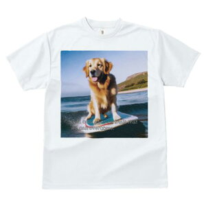 TVc fB[X t@  t  vg JWA 킢 lԗp tBbglX _X C S[fgo[ g T[t{[h