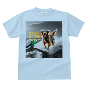 TVc Y LbY t@  t  vg JWA 킢 lԗp tBbglX _X T[tB S[fgo[ g