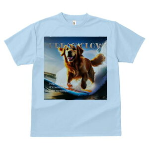 TVc Y LbY t@  t  vg JWA 킢 lԗp tBbglX _X T[tB S[fgo[ g C 