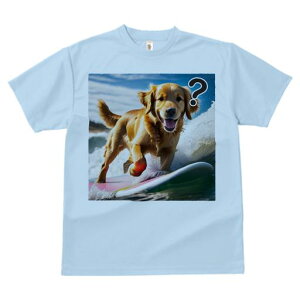 TVc Y LbY t@  t  vg JWA 킢 lԗp tBbglX _X T[tB S[fgo[ C g