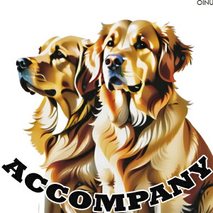 �S�[���f�����g���o�[ �N�b�V�����J�o�[ 45×45cm �A�j�}���� ������� ���� �N�b�V�����{�̕t�� �����` ���t�@��