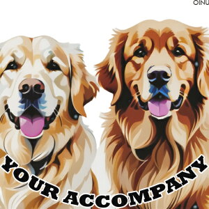 �S�[���f�����g���o�[ �N�b�V�����J�o�[ 45×45cm �A�j�}���� ������� ���� �N�b�V�����{�̕t�� �����` ���t�@��