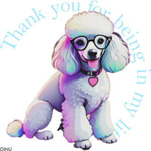 Kl v[h n[g NbVJo[ 45×45cm Aj}   NbV{̕t ` t@