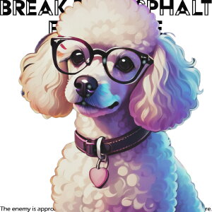 Kl v[h n[g NbVJo[ 45×45cm Aj}   NbV{̕t ` t@