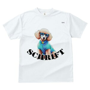 TVc Y LbY t@  t  vg JWA 킢 lԗp tBbglX _X Kl v[h 